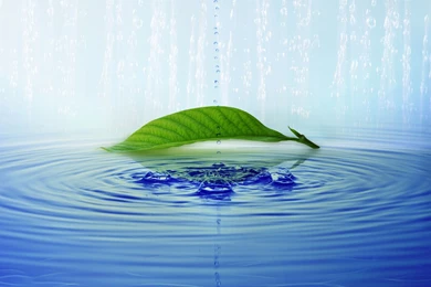 3D Nature Wallpapers