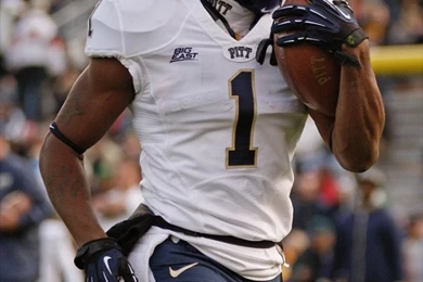 Pittsburgh Football Wallpapers   Snap! Wallpapers