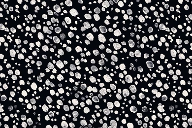 The Desktop Wallpapers Project