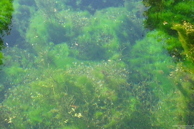 Free Desktop Wallpapers – China International Travel CA