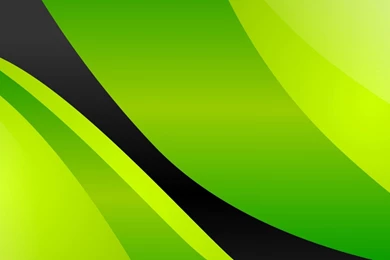 Green Backgrounds Black Line Hd Wallpapers   (