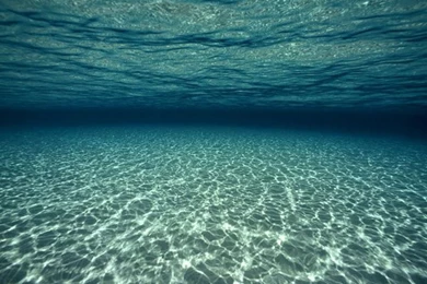 HD Underwater Wallpapers 952 1024x768 Px ~ WallpaperFort.com