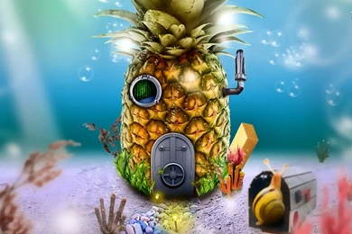 SpongeBob SquarePants   Nickelodeon Wallpapers (38677626)   Fanpop