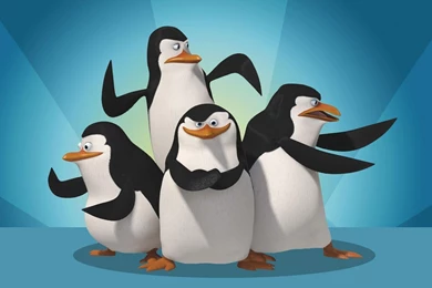 78 Penguin HD Wallpapers