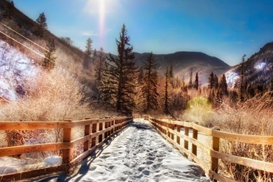 Aspen Summer   Wallpaper.