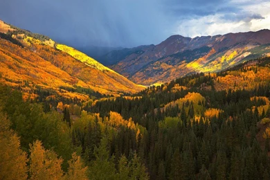 Storm At Aspen Forest   (