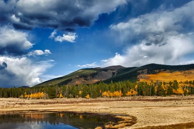 InterfaceLIFT Wallpaper: Aspen Wetland