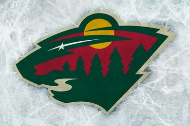 Minnesota Wild iPad 1 & 2 Wallpapers