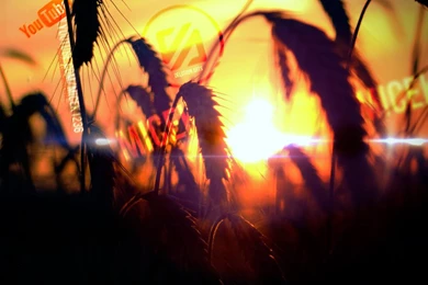 FB Timeline Wallpaper. By M1C3k On DeviantArt