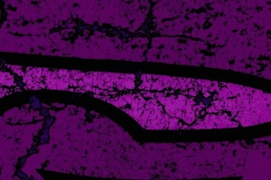 Wallpapers Iphone 5 S Stilyzed Superman 640 X 1136   640 X 1136 ...