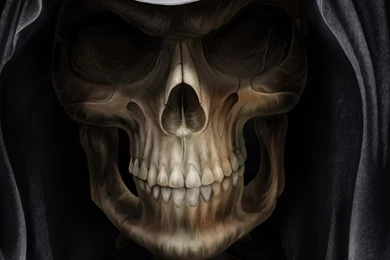 Wallpapers Naturenaturein S Creed Motto Theme Nature Google Chrome ...