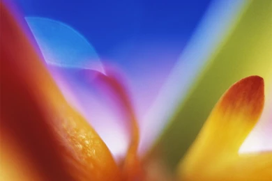 Download LG Optimus 2X Stock Wallpapers