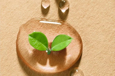 Lg Optimus Wallpapers Desktop   Kemecer.com