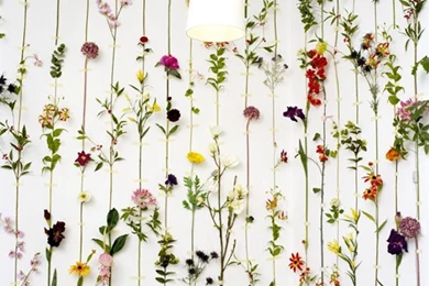 Decorating With Flower Designs On A Budget   Rated People ...