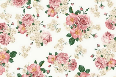 1920x1080 Aesthetic Pleasure Desktop PC And Mac Wallpapers