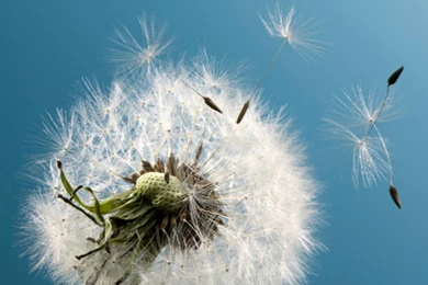 Aesthetic iPhone 6 Wallpapers