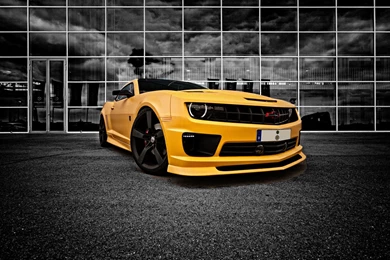 Bumblebee 2015 Wallpapers HD Wallpapers Cave