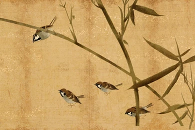 Japanese Wallpapers   Wallpapers Cave