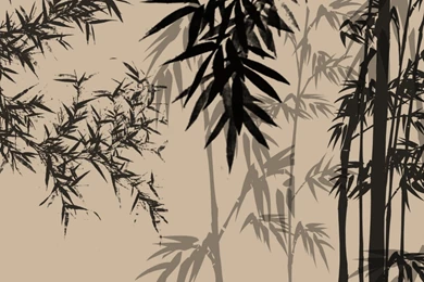 Wallpapers Abstrak Bamboo Shadows Abstract Chinese Firefox Persona ...