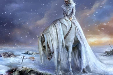 Fantasy Horse 1219348 Wallpapers   (