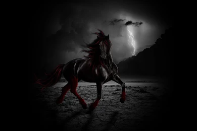 Wallpapers Fantasy Horses Horse Eb .2 1024x768