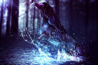 26 Horse HD Wallpapers