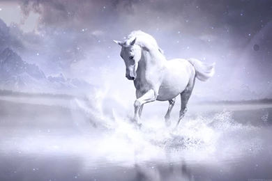 White Horse Fantasy Wallpapers