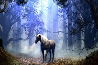 Fantasy Horse Wallpapers For iPad Mini 2