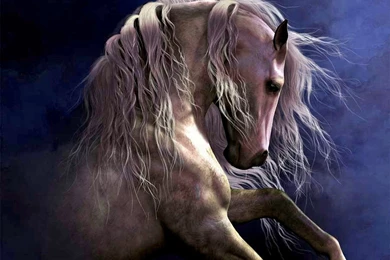Horses: Regal Painting Fantasy Horse Stallion HD Wallpapers For HD ...