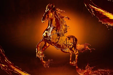 Fantasy Horse >> HD Wallpaper, Get It Now!