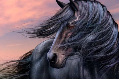 Horse Wallpapers Dark Horse Wallpapers Fantasy Horse Wallpapers Horse ...