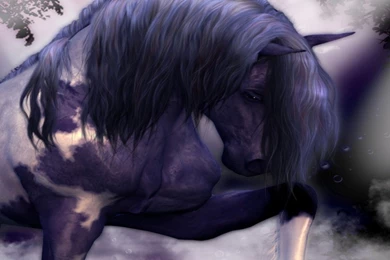 Horses: Waiting Rain Fantasy Horses Black White Horse Nature Wild ...