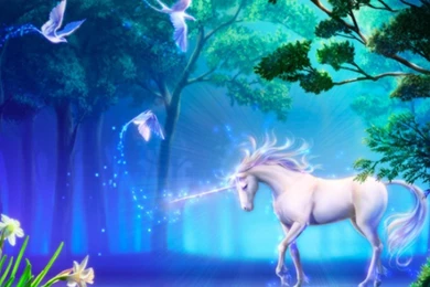 The Unicorn Fantasy Horse Wallpapers HD Download Desktop