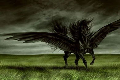 Wallpapers Fantasy Horse Free Widescreen Hd Fantast Dark 1366x768 ...