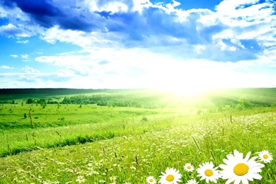 Pics Of Pretty Backgrounds