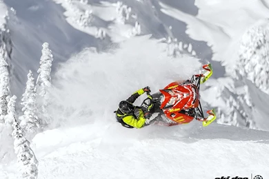 2016 Ski Doo Freeride™ 146 800R E TEC, PowderMax 2.5" Snowmobiles ...