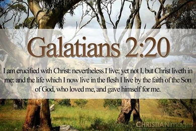 Scenic Pictures With Bible Verses