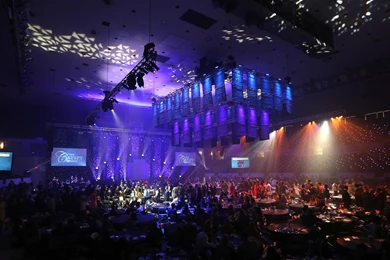 The CATSPY Awards   UK Wildcats