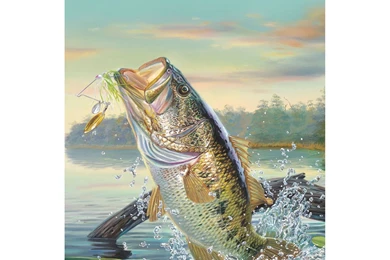 Largemouth Bass Wallpapers   Wallpapers Cave