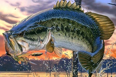 Leland's Lures: Crappie Magnet 15 Piece Red/Chartreuse