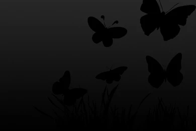 Color Negro   Black!!! Butterflies