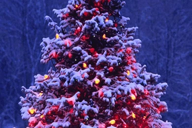 Free Christmas Wallpapers For Iphone