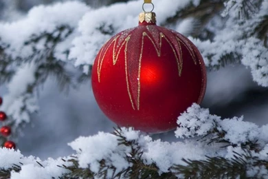 Snow Load Christmas Trees Wallpapers For Iphone 5_iPhone Wallpapers ...