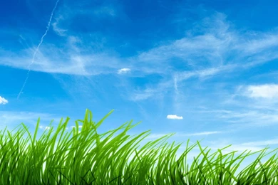 Beautiful Hd Wallpapers High Definition Wallpapers   (