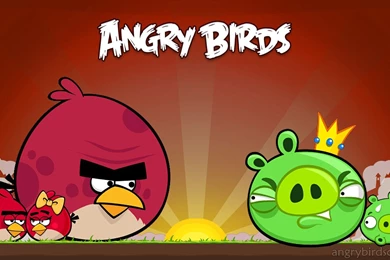 Angry Bird Wallpapers   Wallpapers Cave