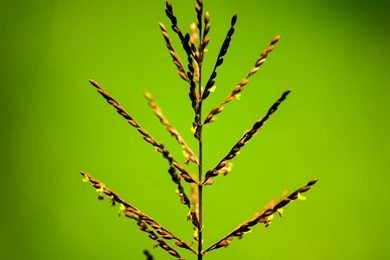 Water Peace Quotes. QuotesGram