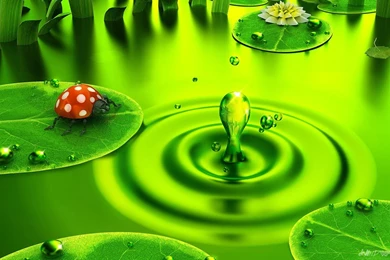 B 3d Name Wallpapers HD