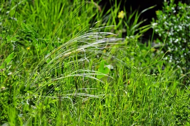 2160x1440 Wallpapers Crimea. Cute Pics Wallpapers