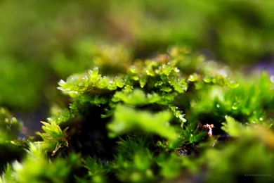 2160x1440 Wallpapers Hotel. Impressive Tablet Backgrounds Free