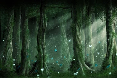 Fairy Forest Live Wallpapers   Android Apps On Google Play